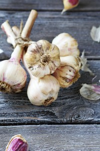 small bunch of fresh garlic